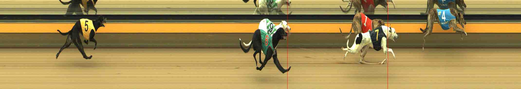 Race result finish photo